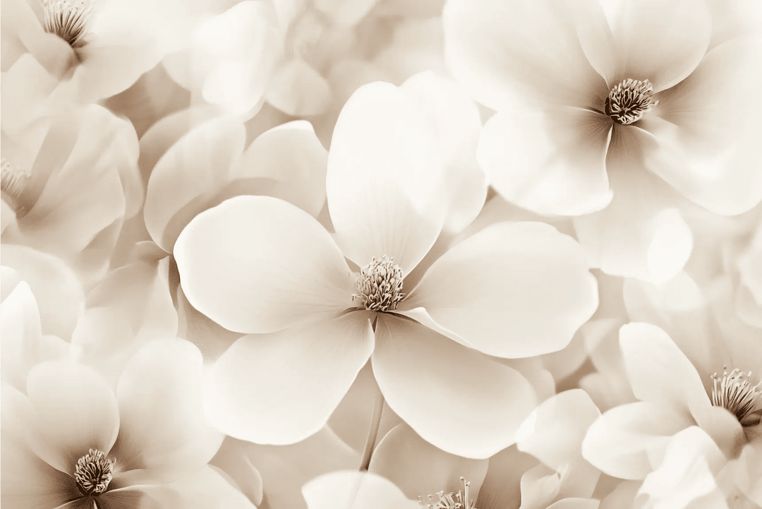 Poésie Florale : Un Papier Peint au Charme Discret - Illulart: Papier peint panoramique