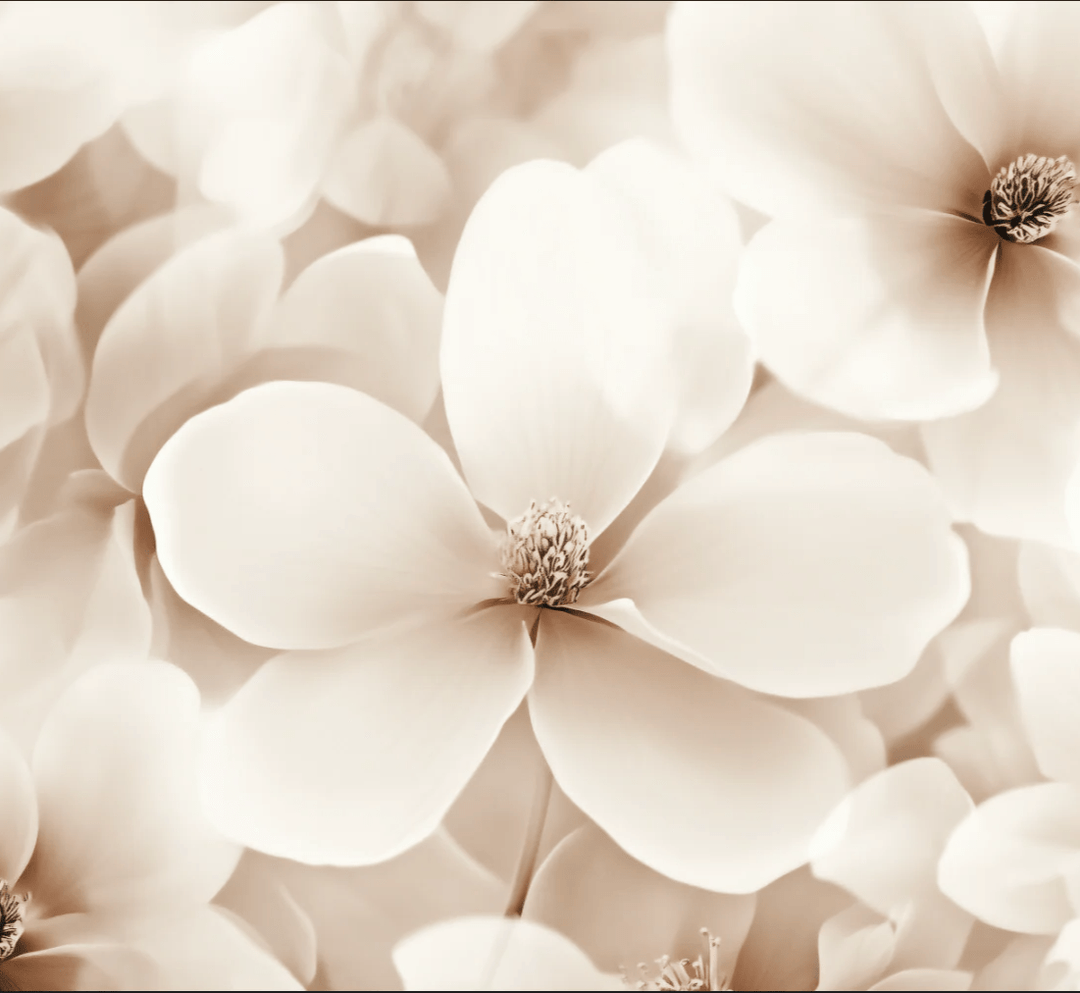 Poésie Florale : Un Papier Peint au Charme Discret - Illulart: Papier peint panoramique