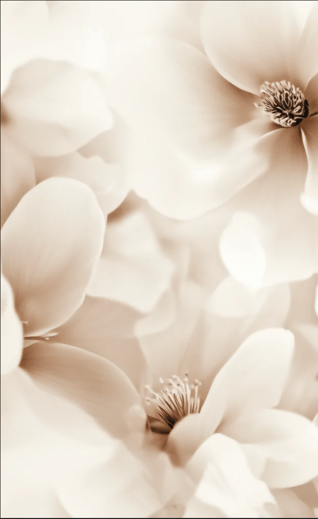 Poésie Florale : Un Papier Peint au Charme Discret - Illulart: Papier peint panoramique