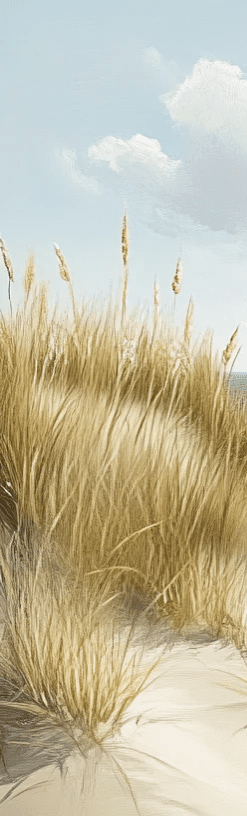 Sentier des Dunes : Papier Peint Panoramique Sable et Mer - Illulart: Papier peint panoramique