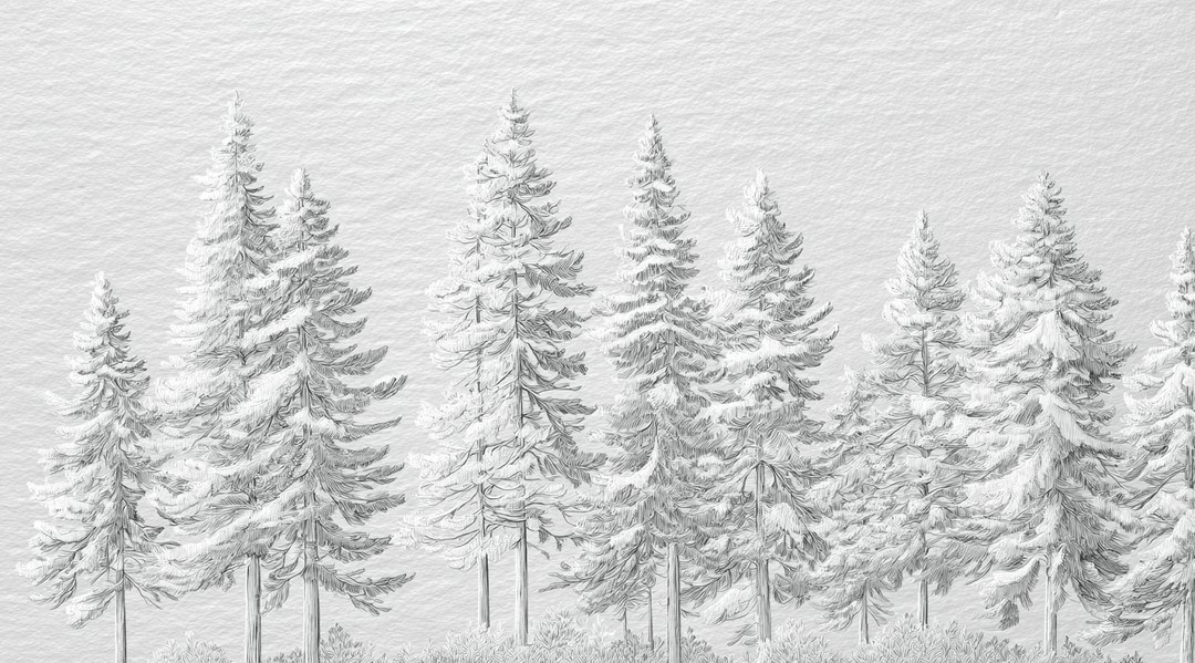 Silence Nordique – Papier peint panoramique forêt de sapins enneigés - Illulart: Papier peint panoramique