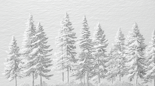 Silence Nordique – Papier peint panoramique forêt de sapins enneigés - Illulart: Papier peint panoramique