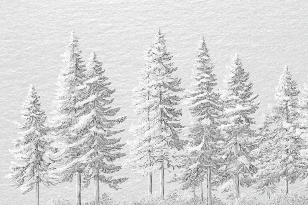 Silence Nordique – Papier peint panoramique forêt de sapins enneigés - Illulart: Papier peint panoramique