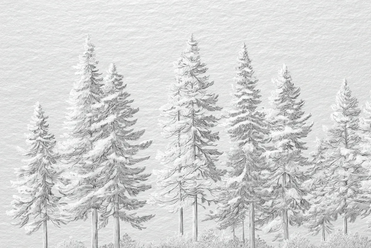 Silence Nordique – Papier peint panoramique forêt de sapins enneigés - Illulart: Papier peint panoramique