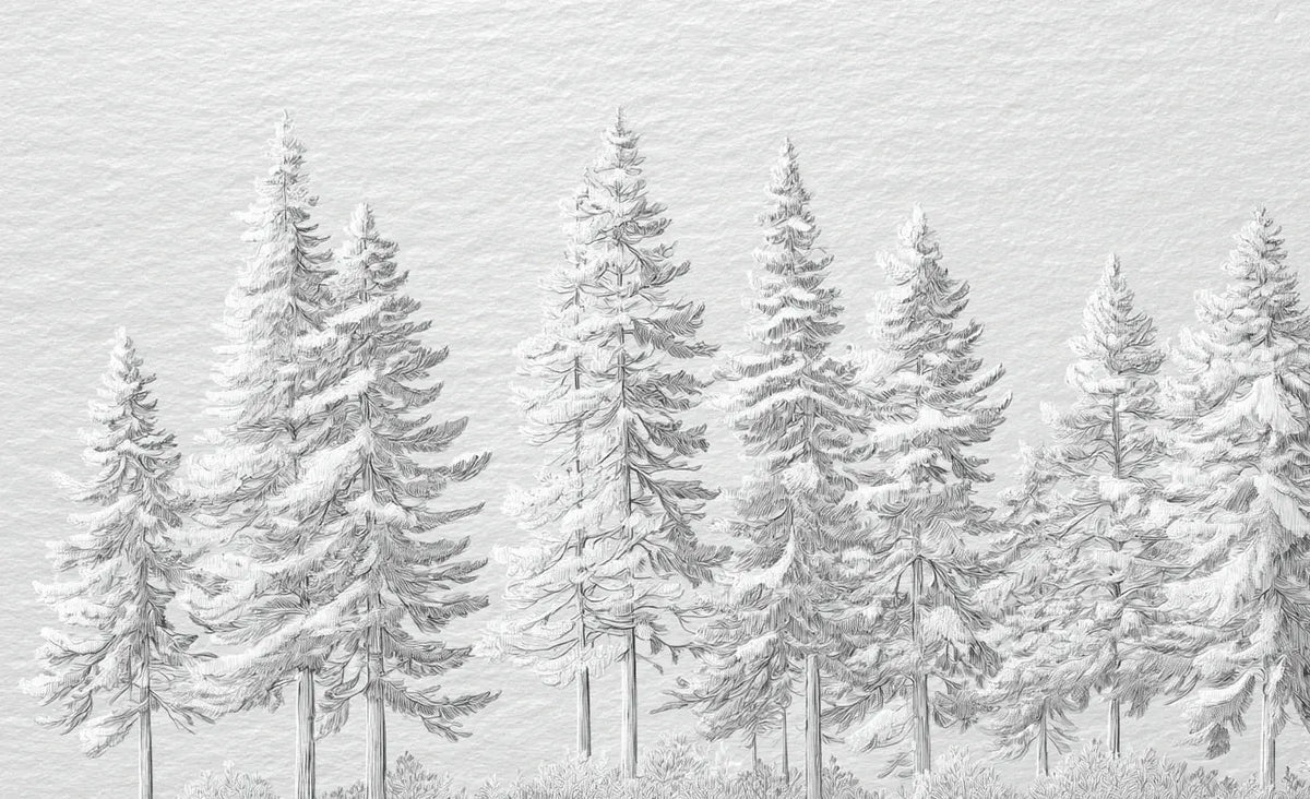 Silence Nordique – Papier peint panoramique forêt de sapins enneigés