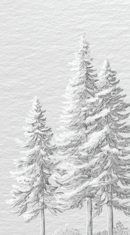 Silence Nordique – Papier peint panoramique forêt de sapins enneigés - Illulart: Papier peint panoramique