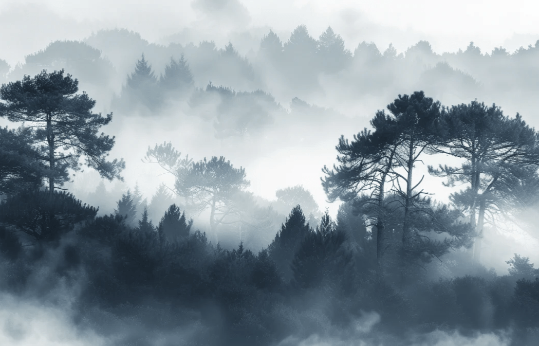 Silhouettes Forestières - Élégance Brumeuse | Papier Peint Panoramique - Illulart: Papier peint panoramique