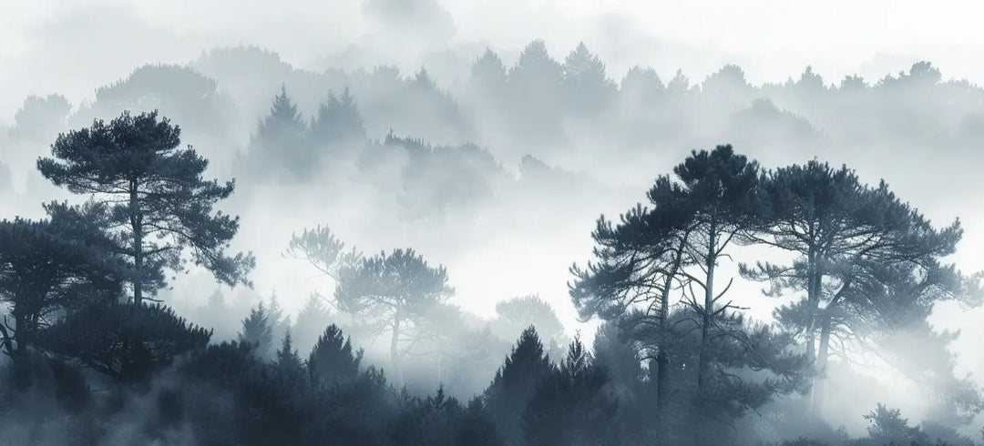 Silhouettes Forestières - Élégance Brumeuse | Papier Peint Panoramique - Illulart: Papier peint panoramique