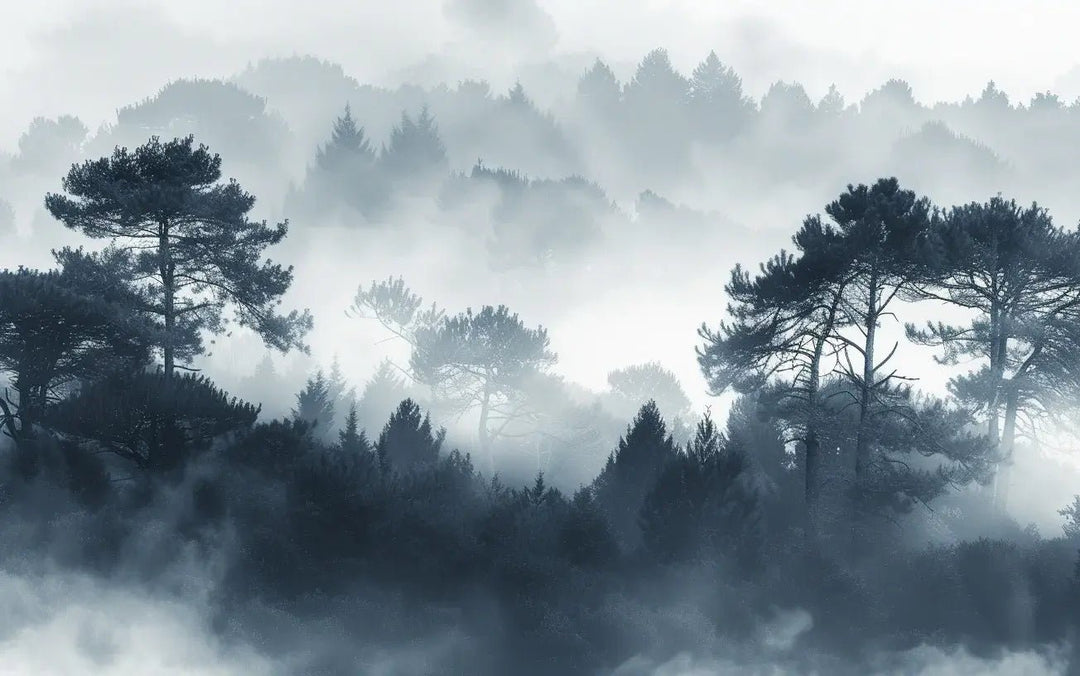 Silhouettes Forestières - Élégance Brumeuse | Papier Peint Panoramique - Illulart: Papier peint panoramique