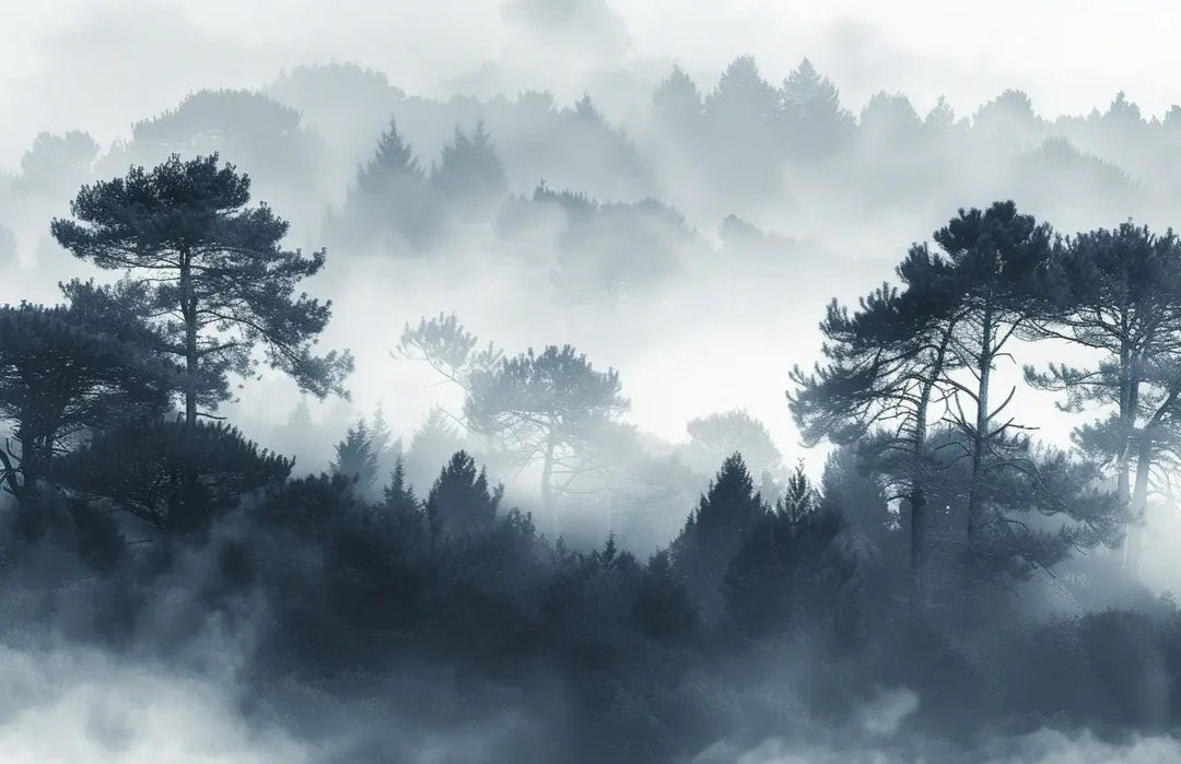 Silhouettes Forestières - Élégance Brumeuse | Papier Peint Panoramique - Illulart: Papier peint panoramique