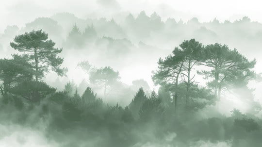 Silhouettes forestières vert