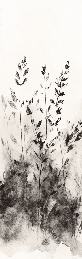 Songes de Graminées – Papier Peint Élégant Inspiré de la Nature - Illulart: Papier peint panoramique