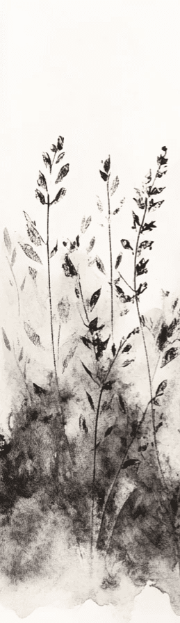 Songes de Graminées – Papier Peint Élégant Inspiré de la Nature - Illulart: Papier peint panoramique