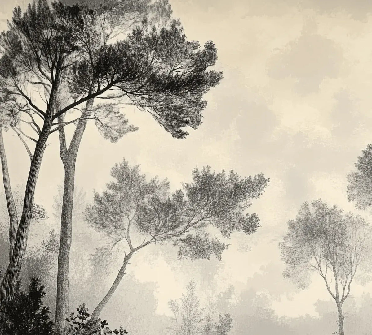 Sous la Pinède - Papier Peint Forêt Vintage et Raffiné - Illulart: Papier peint panoramique