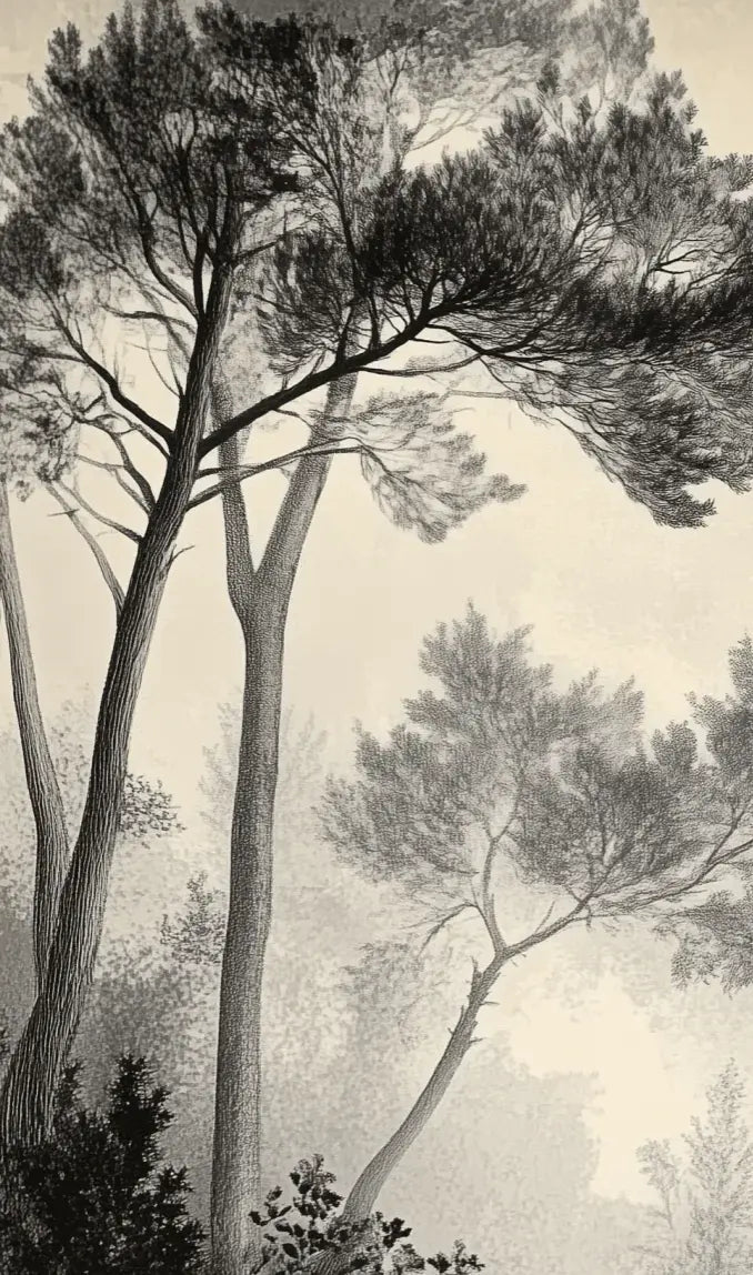 Sous la Pinède - Papier Peint Forêt Vintage et Raffiné - Illulart: Papier peint panoramique