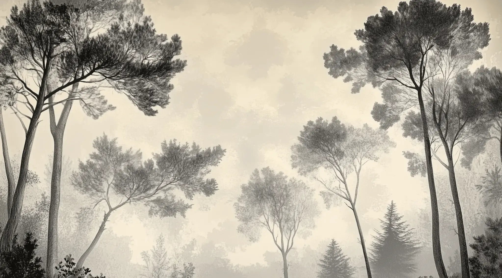 Sous la Pinède - Papier Peint Forêt Vintage et Raffiné - Illulart: Papier peint panoramique