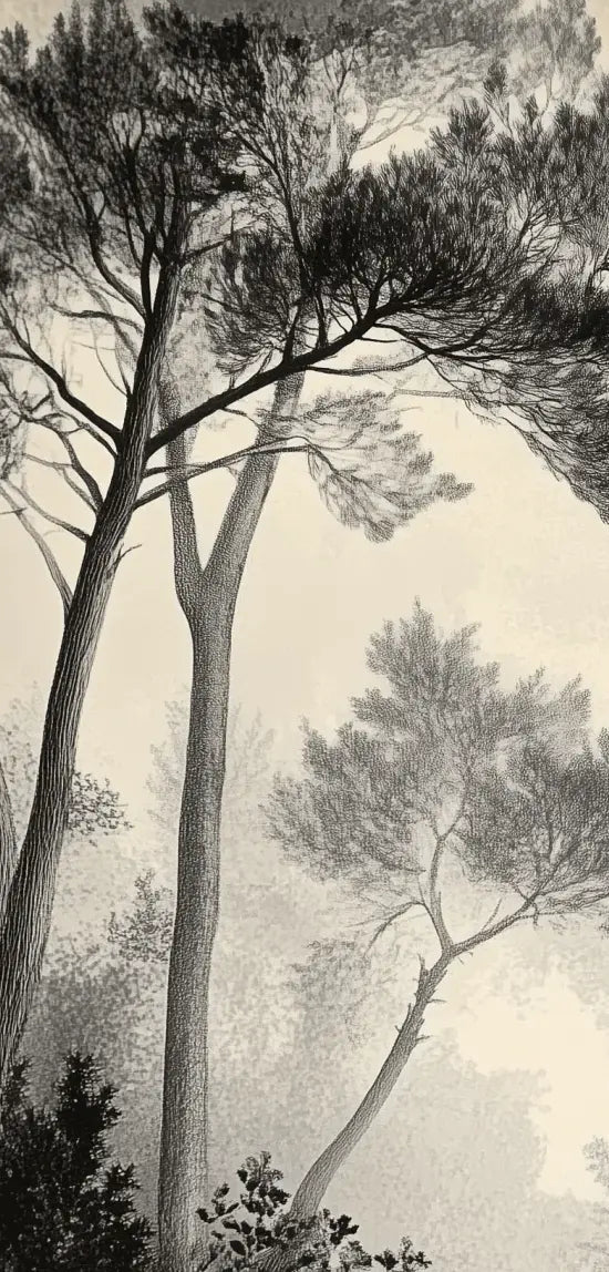 Sous la Pinède - Papier Peint Forêt Vintage et Raffiné - Illulart: Papier peint panoramique