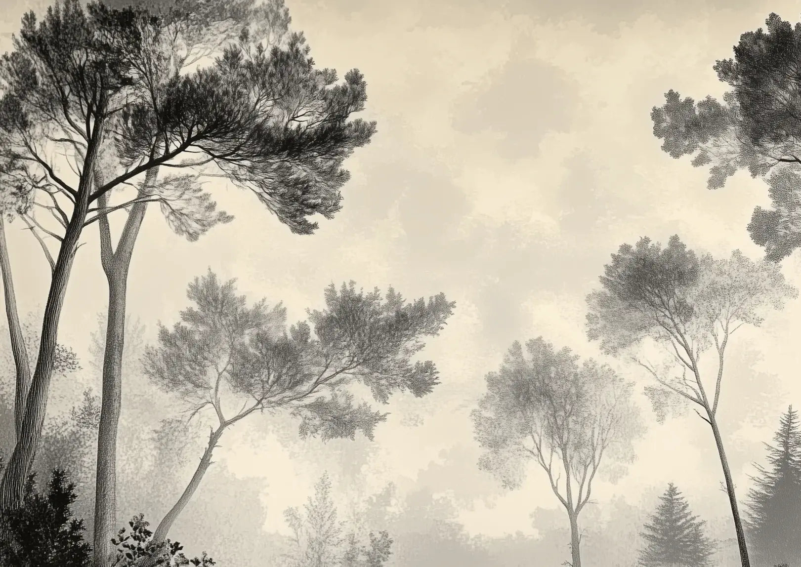 Sous la Pinède - Papier Peint Forêt Vintage et Raffiné - Illulart: Papier peint panoramique