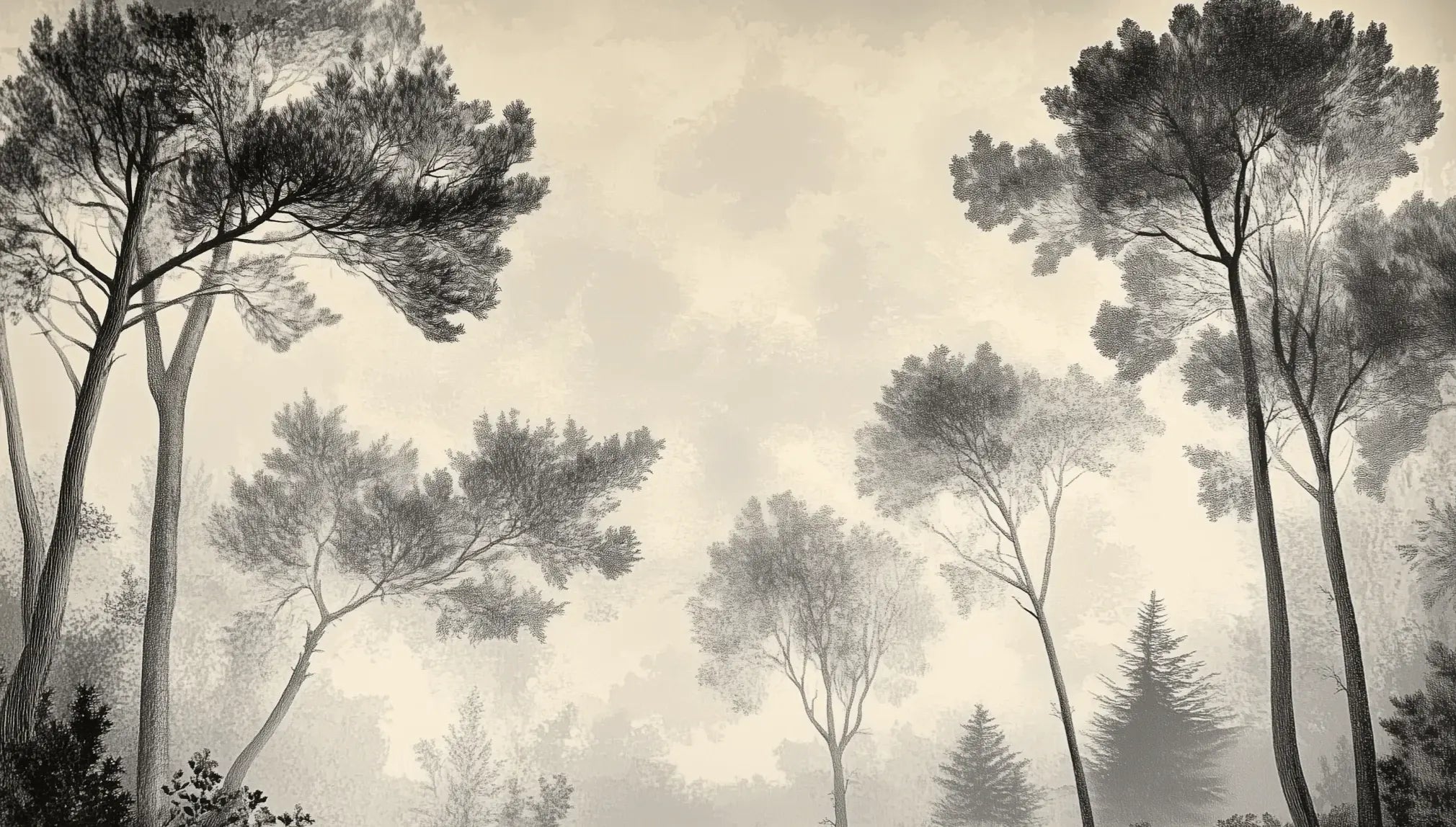 Sous la Pinède - Papier Peint Forêt Vintage et Raffiné - Illulart: Papier peint panoramique