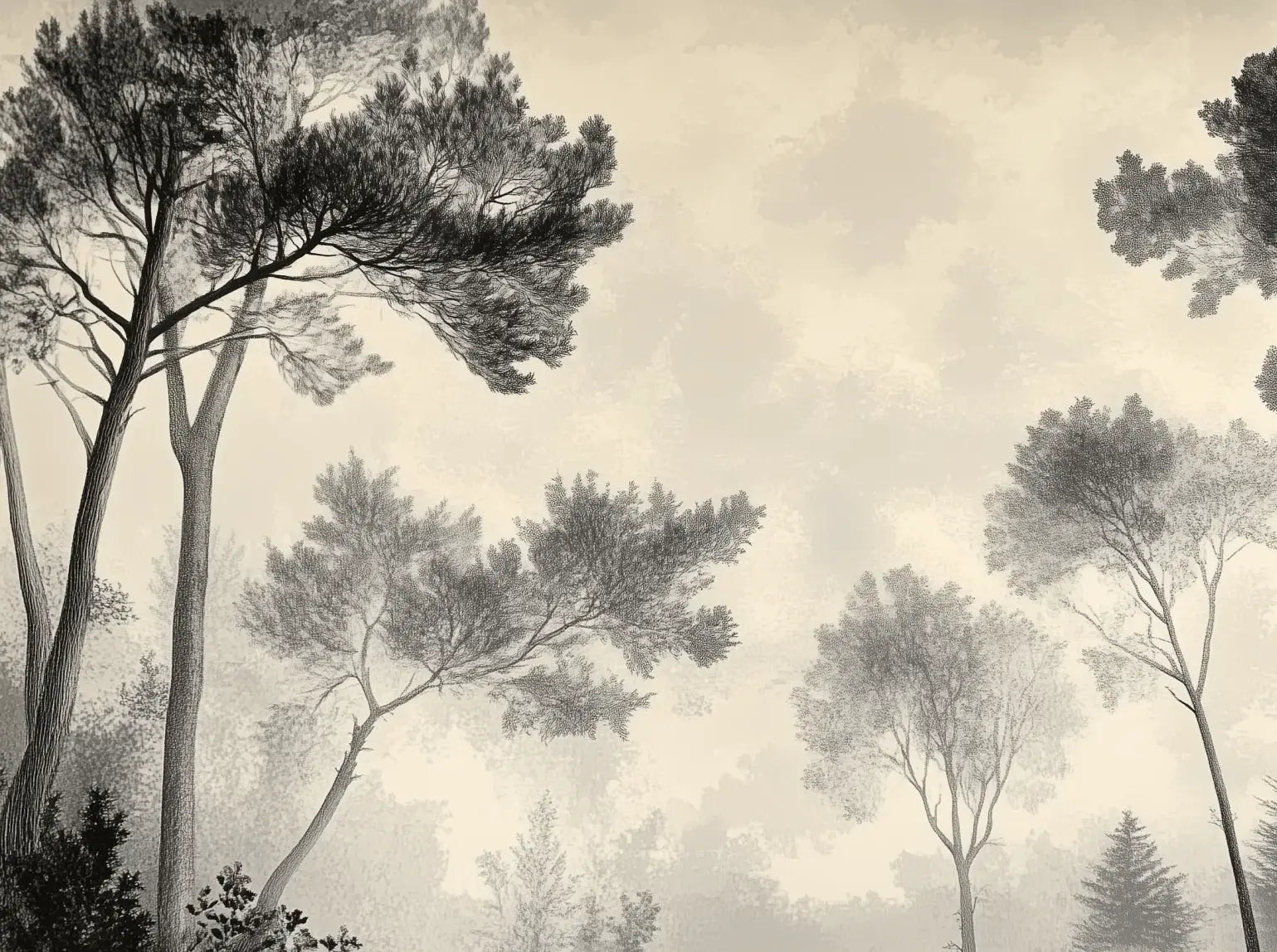 Sous la Pinède - Papier Peint Forêt Vintage et Raffiné - Illulart: Papier peint panoramique
