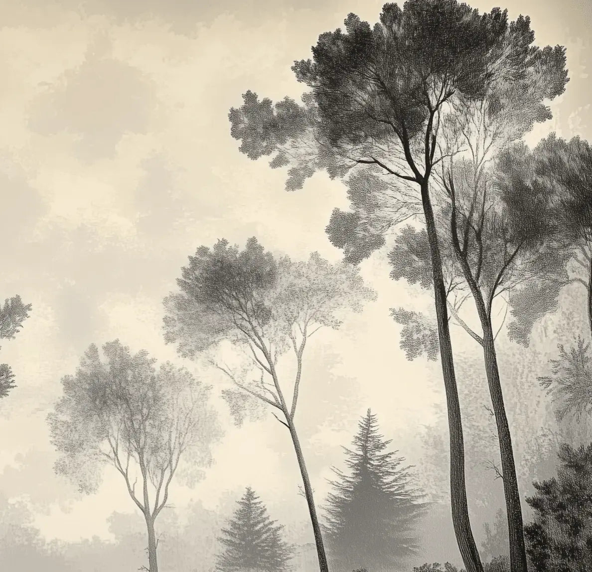 Sous la Pinède - Papier Peint Forêt Vintage et Raffiné - Illulart: Papier peint panoramique