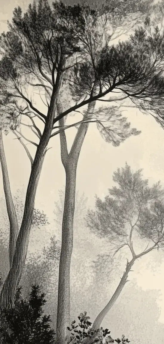 Sous la Pinède - Papier Peint Forêt Vintage et Raffiné - Illulart: Papier peint panoramique