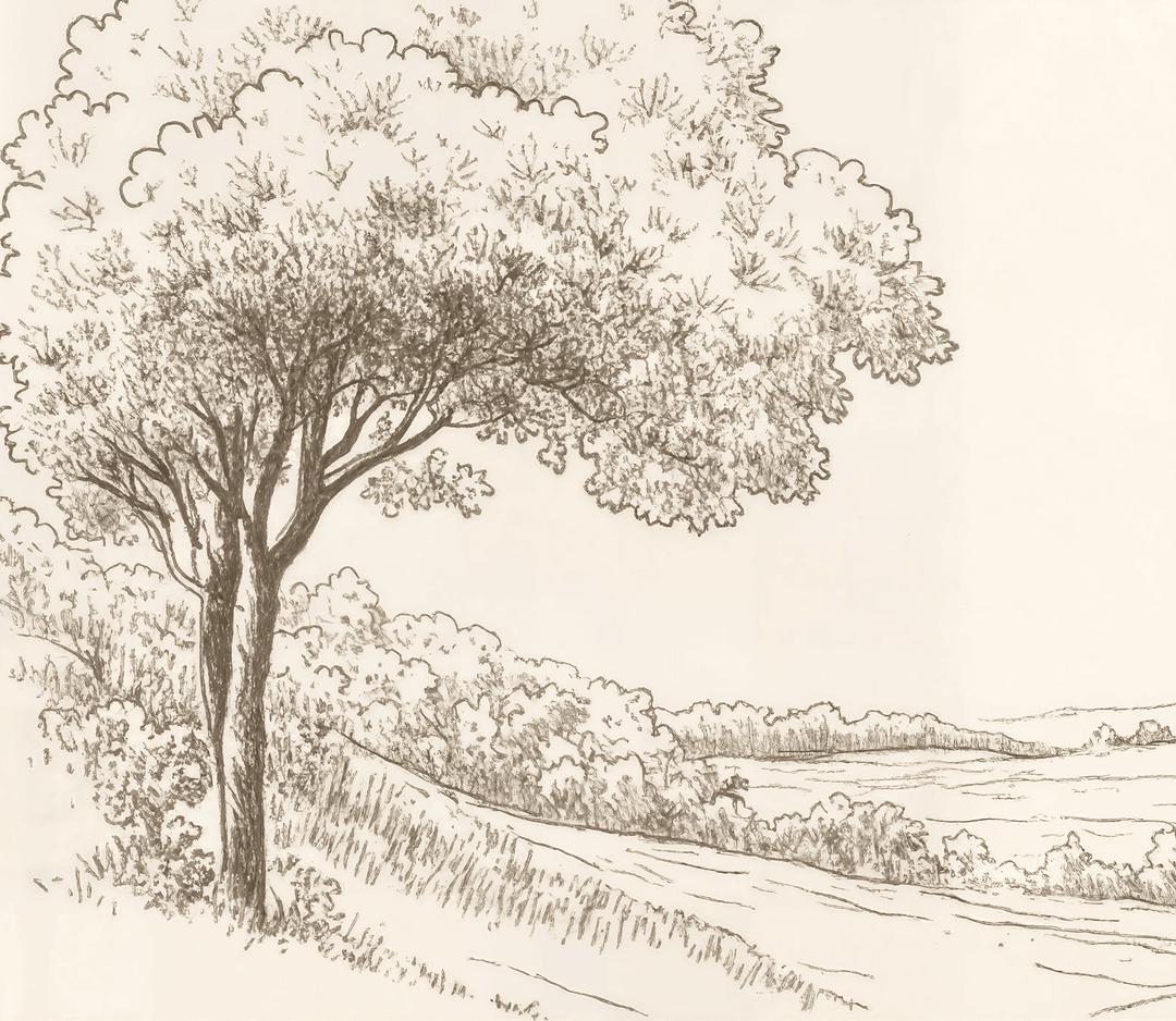 Sous le Chêne - Illulart: Papier peint panoramique