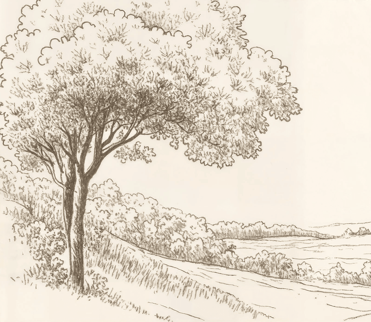 Sous le Chêne - Illulart: Papier peint panoramique