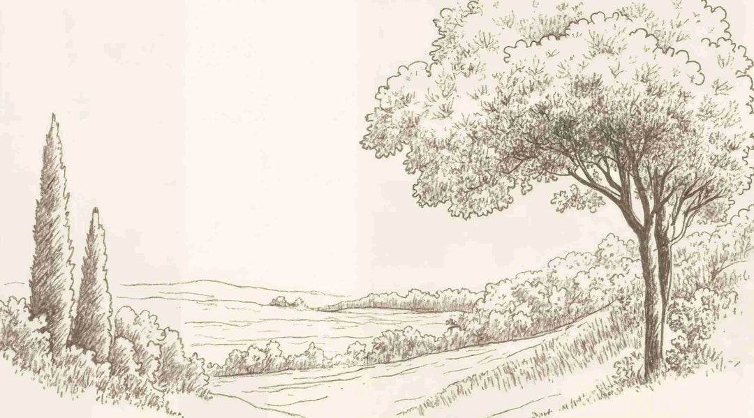 Sous le Chêne – Papier peint panoramique scène rustique au trait naturel - Illulart: Papier peint panoramique