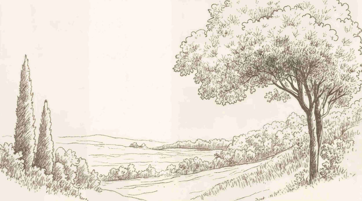 Sous le Chêne – Papier peint panoramique scène rustique au trait naturel - Illulart: Papier peint panoramique
