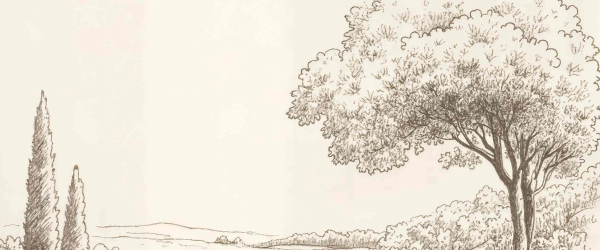 Sous le Chêne – Papier peint panoramique scène rustique au trait naturel - Illulart: Papier peint panoramique