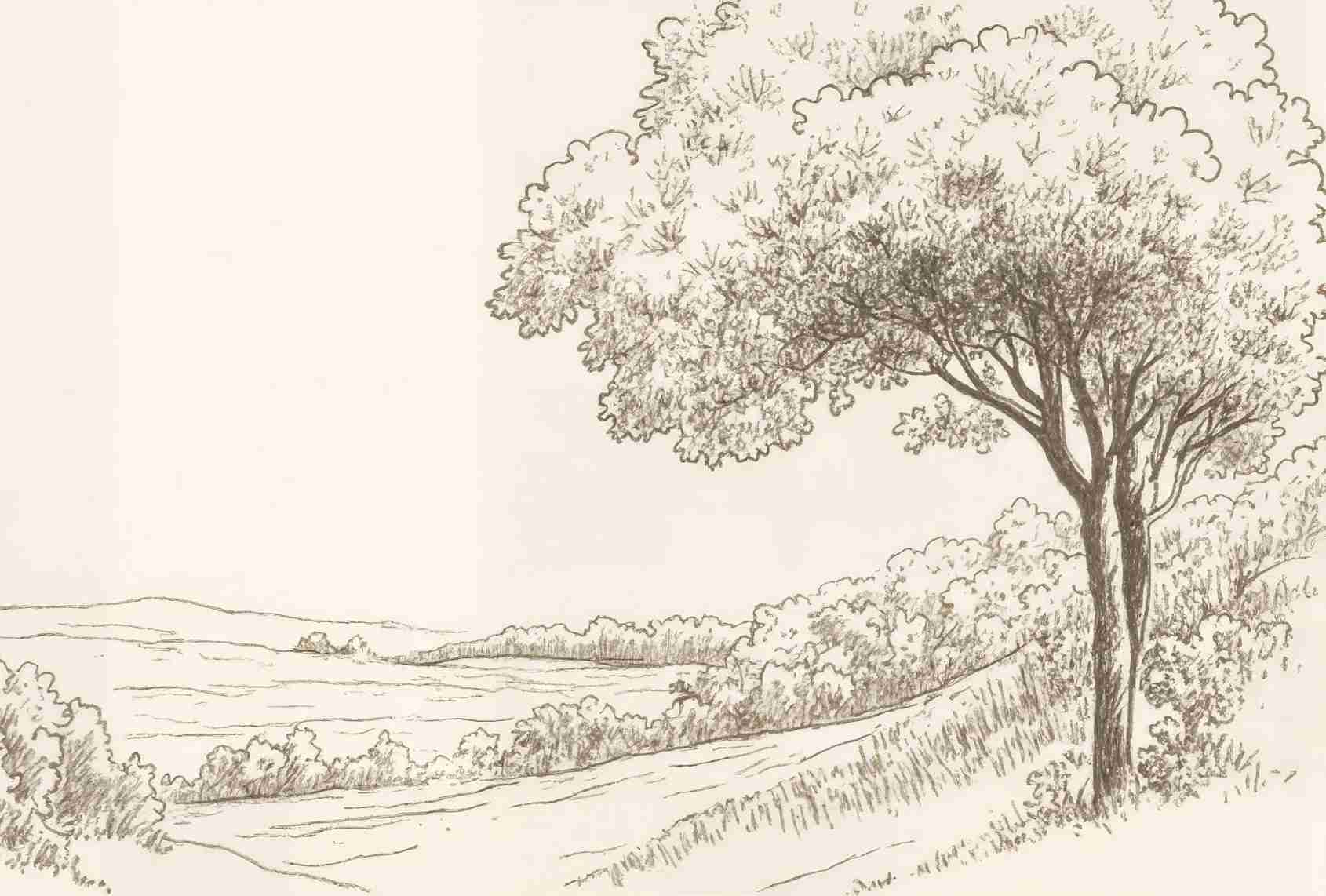 Sous le Chêne – Papier peint panoramique scène rustique au trait naturel - Illulart: Papier peint panoramique