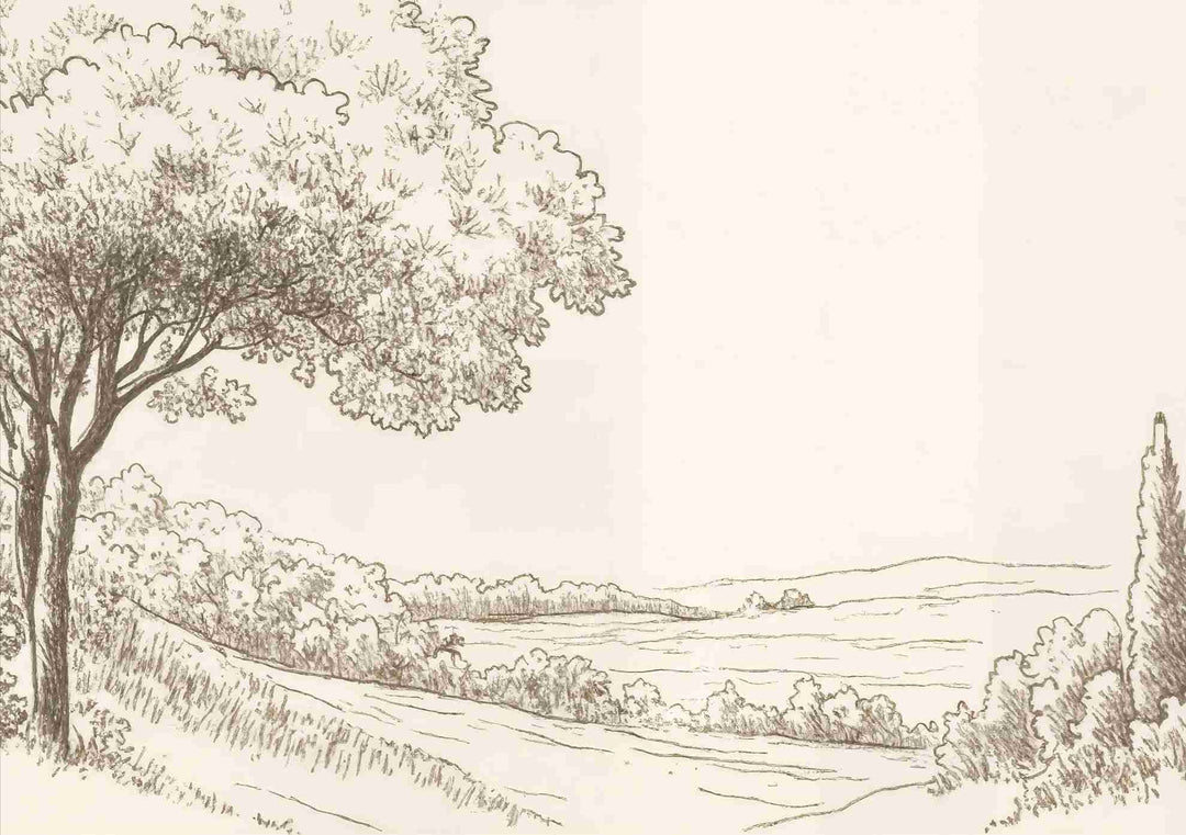 Sous le Chêne – Papier peint panoramique scène rustique au trait naturel - Illulart: Papier peint panoramique