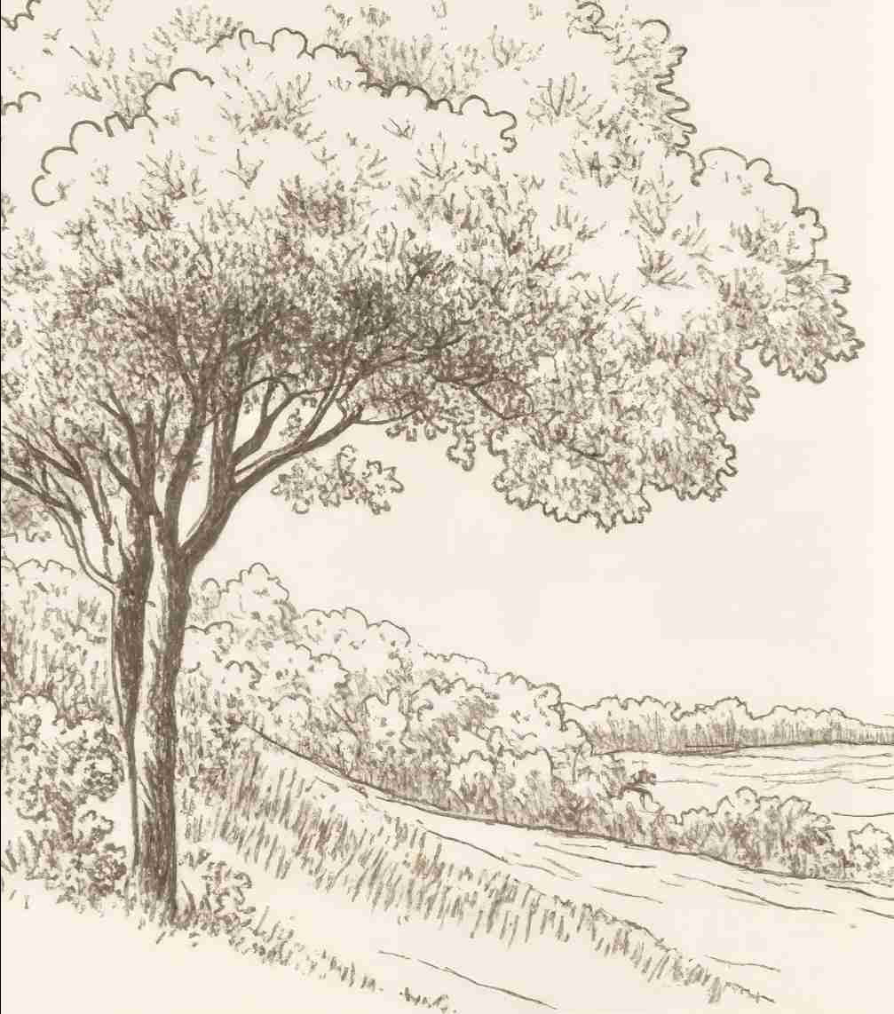 Sous le Chêne – Papier peint panoramique scène rustique au trait naturel - Illulart: Papier peint panoramique