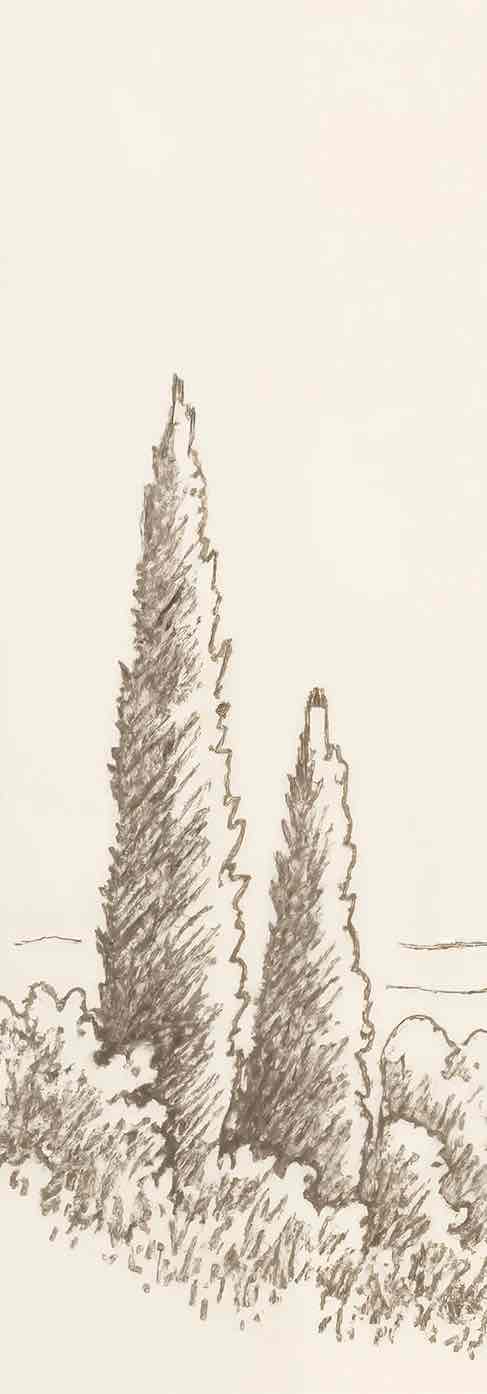 Sous le Chêne – Papier peint panoramique scène rustique au trait naturel - Illulart: Papier peint panoramique