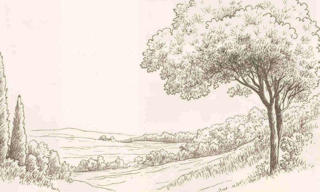 Sous le Chêne – Papier peint panoramique scène rustique au trait naturel - Illulart: Papier peint panoramique