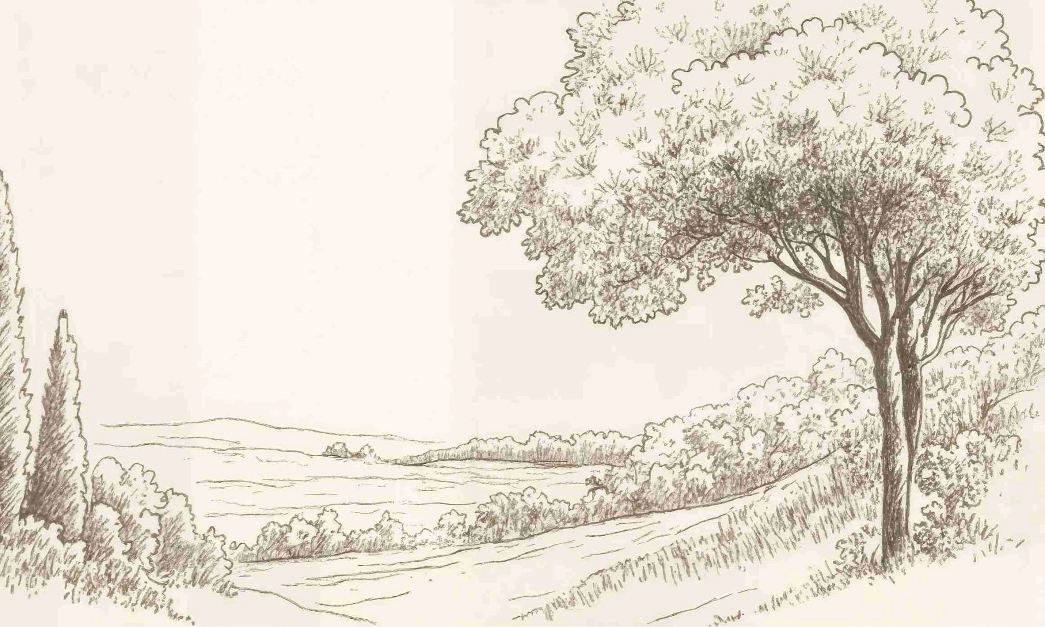 Sous le Chêne – Papier peint panoramique scène rustique au trait naturel