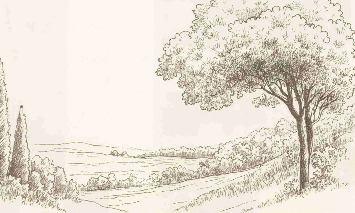 Sous le Chêne – Papier peint panoramique scène rustique au trait naturel - Illulart: Papier peint panoramique