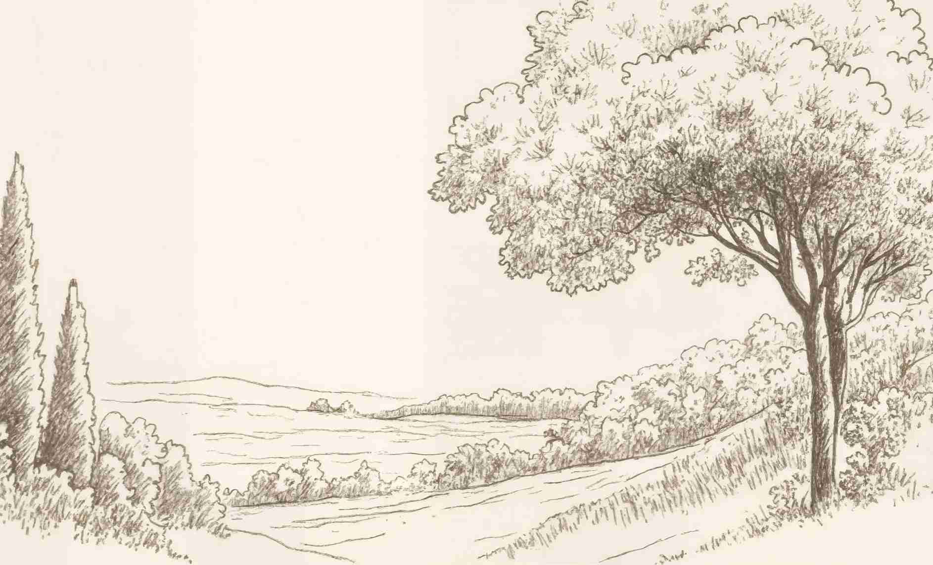 Sous le Chêne – Papier peint panoramique scène rustique au trait naturel - Illulart: Papier peint panoramique