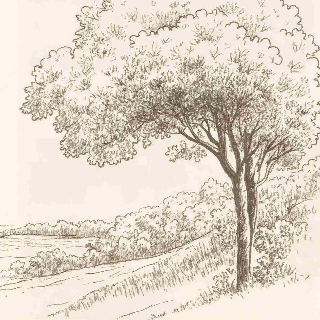 Sous le Chêne – Papier peint panoramique scène rustique au trait naturel - Illulart: Papier peint panoramique