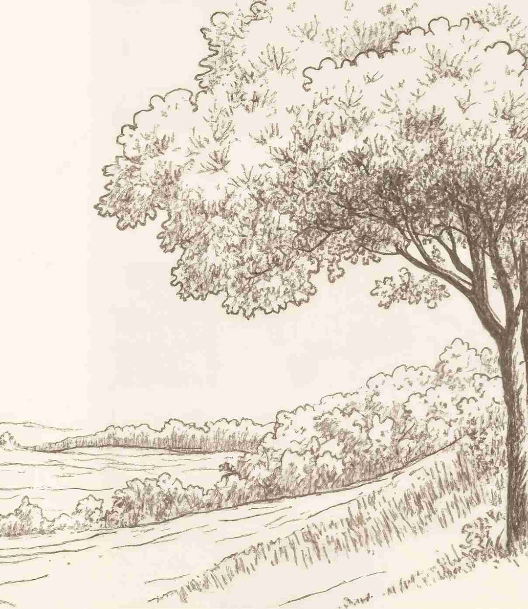 Sous le Chêne – Papier peint panoramique scène rustique au trait naturel - Illulart: Papier peint panoramique