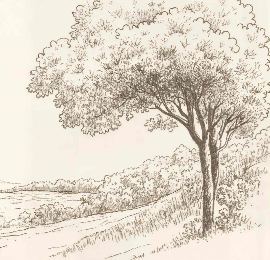 Sous le Chêne – Papier peint panoramique scène rustique au trait naturel - Illulart: Papier peint panoramique