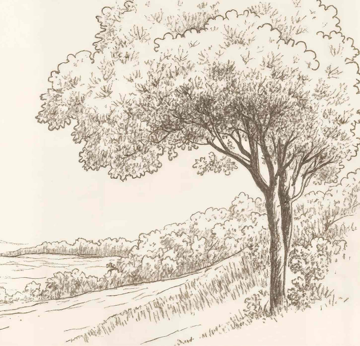 Sous le Chêne – Papier peint panoramique scène rustique au trait naturel