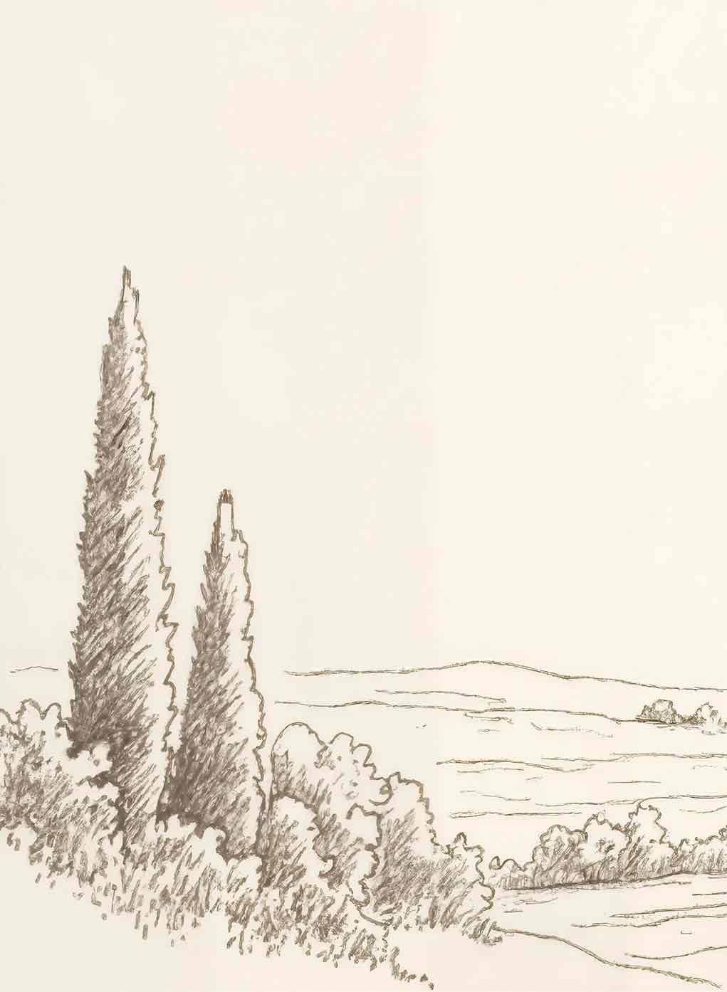 Sous le Chêne – Papier peint panoramique scène rustique au trait naturel - Illulart: Papier peint panoramique