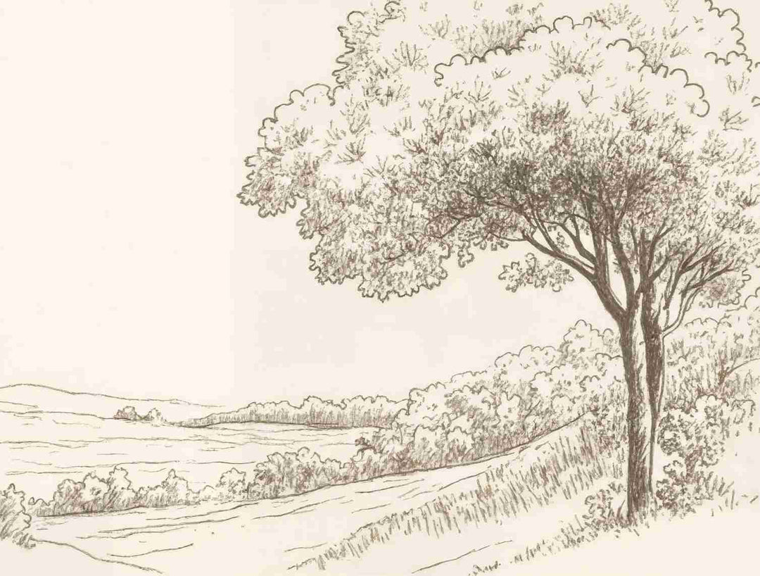 Sous le Chêne – Papier peint panoramique scène rustique au trait naturel - Illulart: Papier peint panoramique