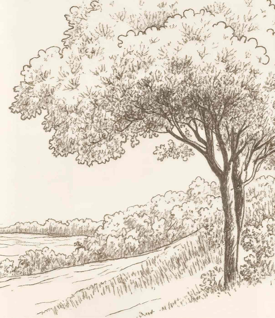 Sous le Chêne – Papier peint panoramique scène rustique au trait naturel - Illulart: Papier peint panoramique