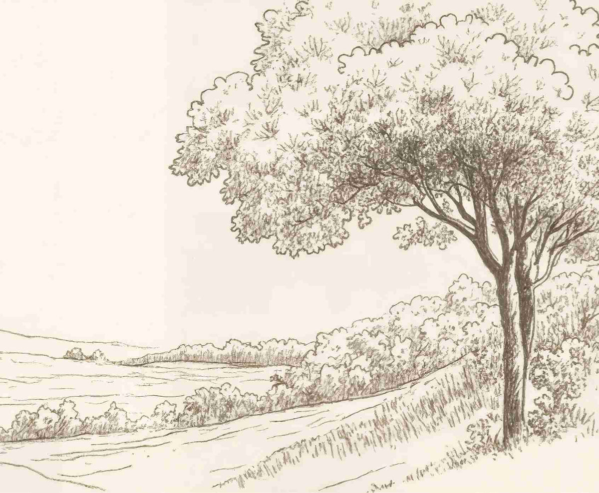 Sous le Chêne – Papier peint panoramique scène rustique au trait naturel - Illulart: Papier peint panoramique