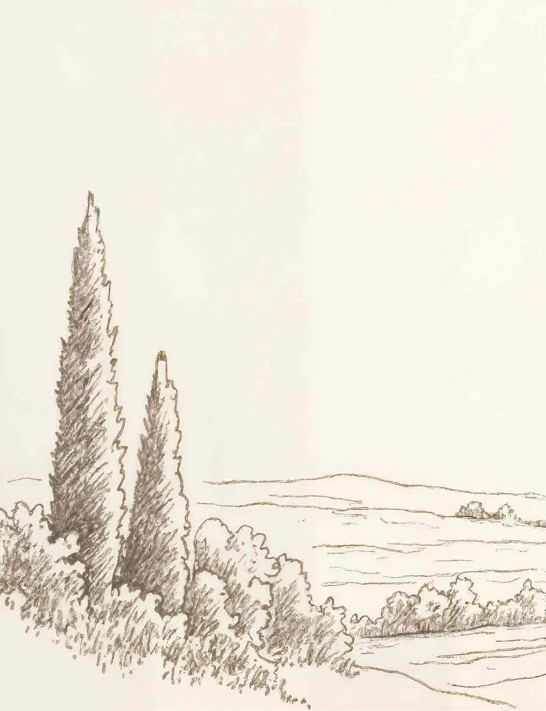 Sous le Chêne – Papier peint panoramique scène rustique au trait naturel - Illulart: Papier peint panoramique