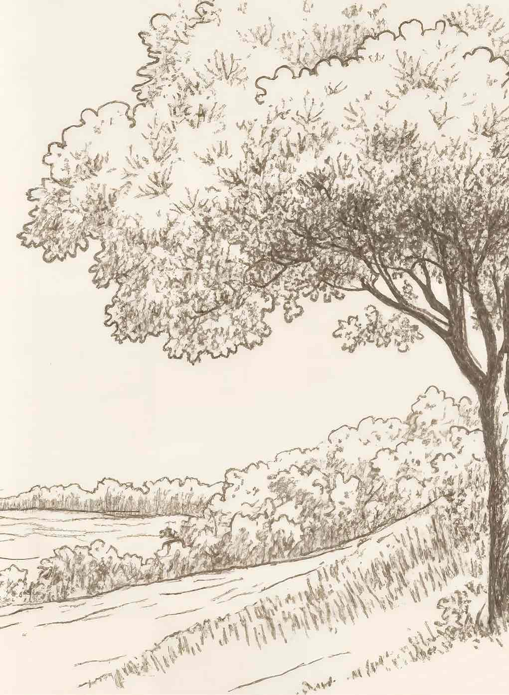 Sous le Chêne – Papier peint panoramique scène rustique au trait naturel - Illulart: Papier peint panoramique