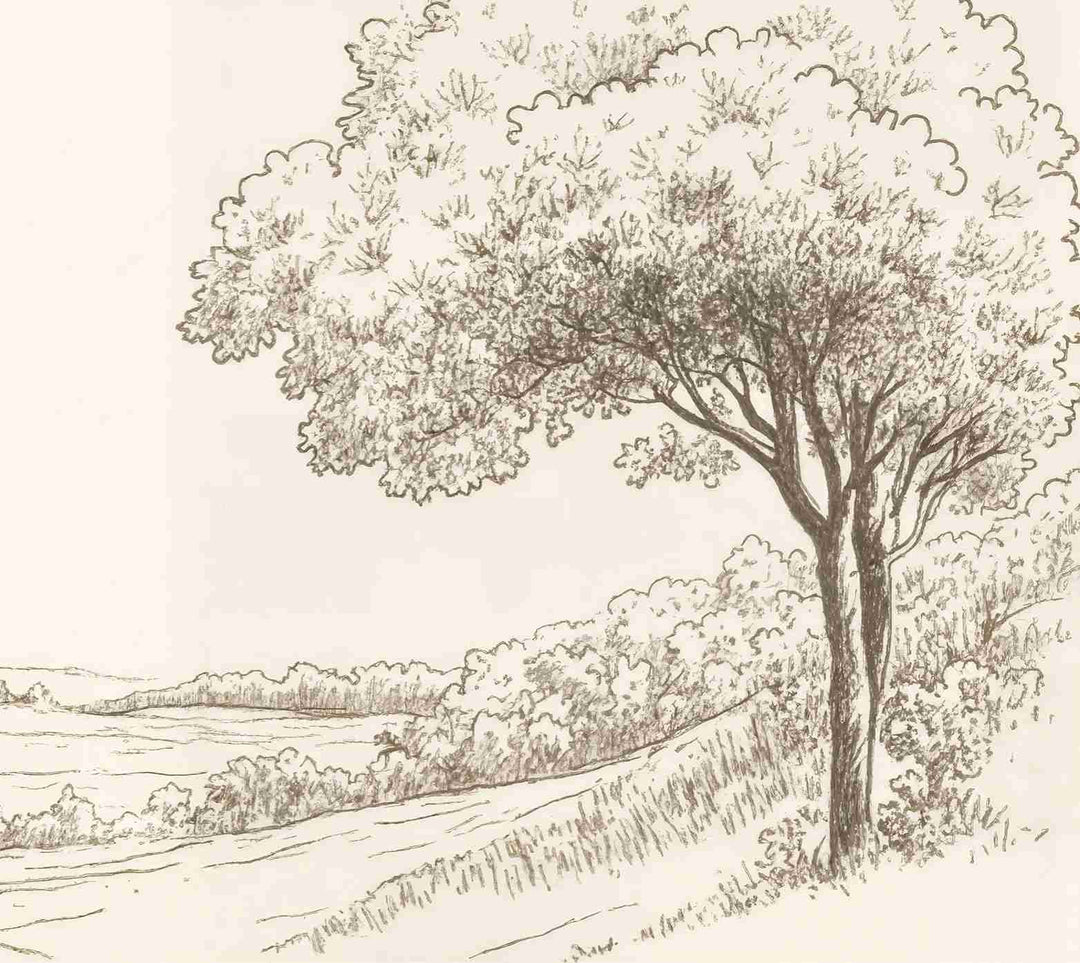 Sous le Chêne – Papier peint panoramique scène rustique au trait naturel - Illulart: Papier peint panoramique